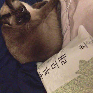 최혜정님이 올린 리뷰 사진 1