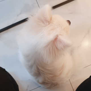 구리로양님이 올린 리뷰 사진 3