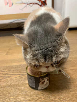 꼬봉❤️님이 올린 리뷰 사진 1
