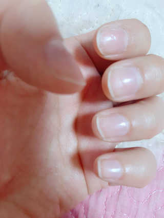 숑숑님이 올린 리뷰 사진 2