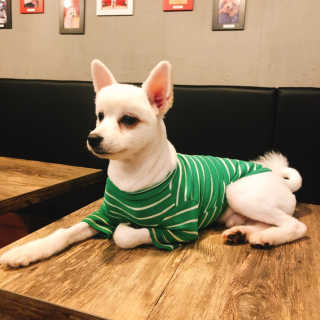 얍님이 올린 리뷰 사진 2