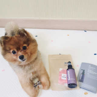 은선이짱님이 올린 리뷰 사진 2