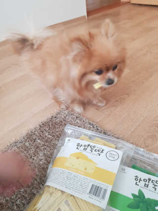 [펫토리아] BEST 한입뚝딱 실속형 강아지 덴탈껌 — 5점을 준 리뷰어가 2019년 2월 올린 사용 사진