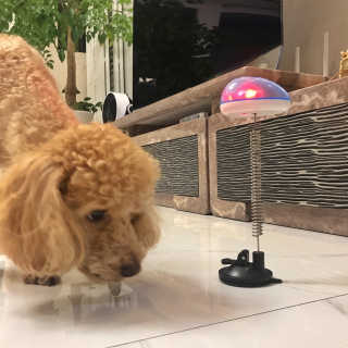 꿀님이 올린 리뷰 사진 4