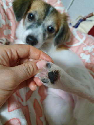 김미진님이 올린 리뷰 사진 3