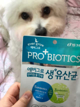 [빙그레] 에버그로 생유산균 1봉（10포입）+펫밀크2팩 — 4.5점을 준 리뷰어가 2019년 5월 올린 사용 사진