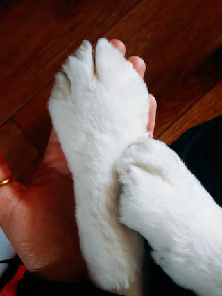 기면선님이 올린 리뷰 사진 4