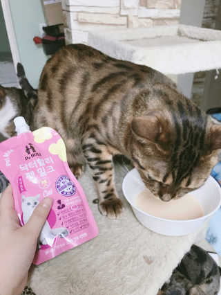 도도쭈님이 올린 리뷰 사진 3