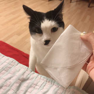 져니닌님이 올린 리뷰 사진 3