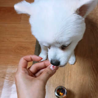 구름이엄마님이 올린 리뷰 사진 4