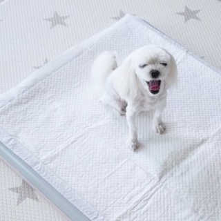최블리💜님이 올린 리뷰 사진 1