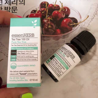 얄라챠꾸님이 올린 리뷰 사진 2