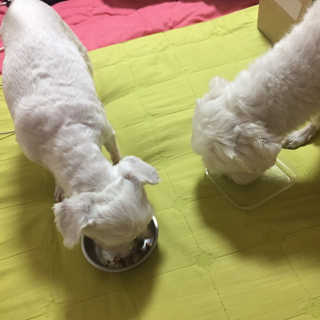 인애님이 올린 리뷰 사진 4