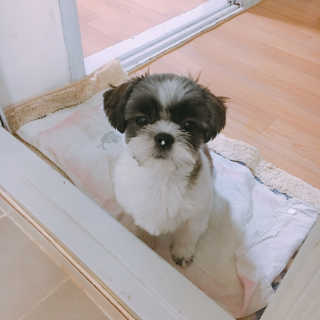 들갑님이 올린 리뷰 사진 1