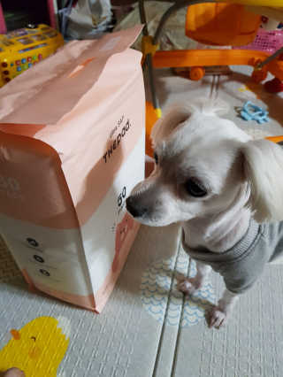 강현아님이 올린 리뷰 사진 3