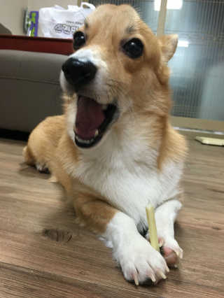 NaRaYoon님이 올린 리뷰 사진 1