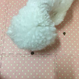 윤동규님이 올린 리뷰 사진 2