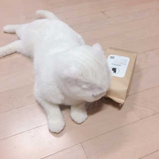hush1744님이 올린 리뷰 사진 2