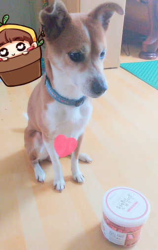 문나영님이 올린 리뷰 사진 2