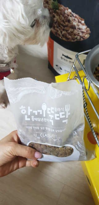 펫토리아 한끼뚝딱 클래식 강아지 건식사료 — 4점을 준 리뷰어가 2019년 4월 올린 사용 사진