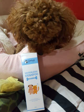 쩡공쥬님이 올린 리뷰 사진 1