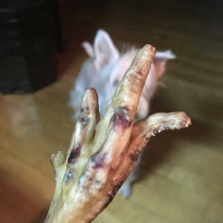 솔이님이 올린 리뷰 사진 2