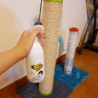제트님이 올린 리뷰 사진 1