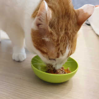 도로농농님이 올린 리뷰 사진 3