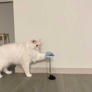 다용블리님이 올린 리뷰 사진 1