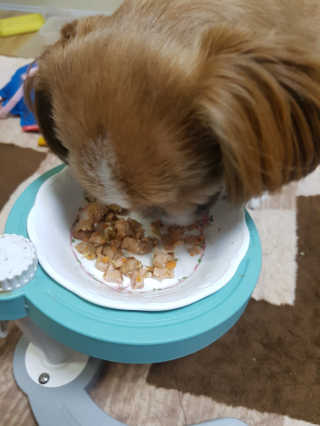 김예원님이 올린 리뷰 사진 4