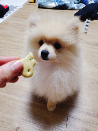 으콩님이 올린 리뷰 사진 2