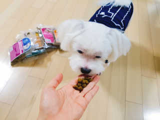 롱님이 올린 리뷰 사진 4