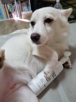 조슬기님이 올린 리뷰 사진 3