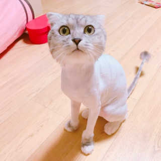 윤디님이 올린 리뷰 사진 4