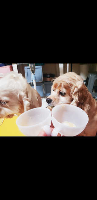 조소민님이 올린 리뷰 사진 2