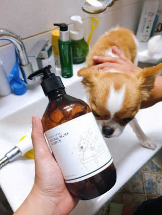꼬몽쓰님이 올린 리뷰 사진 1