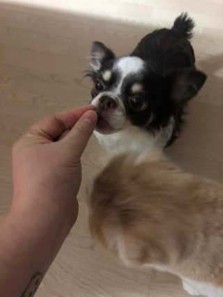 띠띠님이 올린 리뷰 사진 1