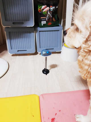 콜보리님이 올린 리뷰 사진 3