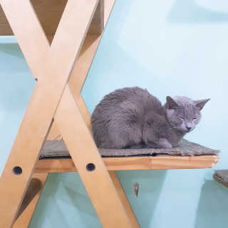 효니님이 올린 리뷰 사진 2