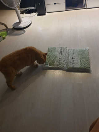starmom님이 올린 리뷰 사진 1