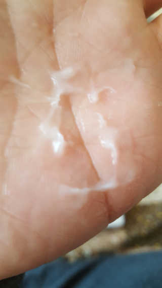 보크다님이 올린 리뷰 사진 4