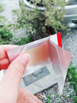 복복이님이 올린 리뷰 사진 2