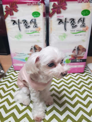 미미네님이 올린 리뷰 사진 2