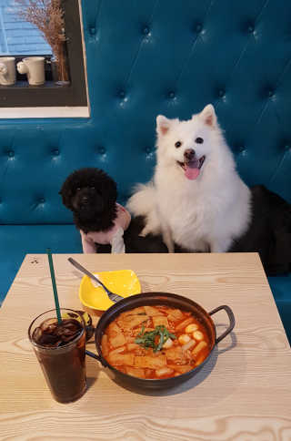 pie_chui님이 올린 리뷰 사진 1