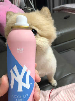 berryjjung님이 올린 리뷰 사진 3