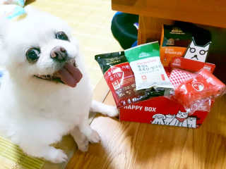 서연님이 올린 리뷰 사진 1
