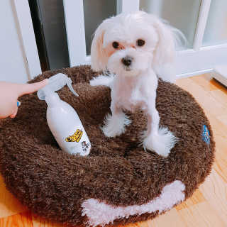 밍지밍지님이 올린 리뷰 사진 1