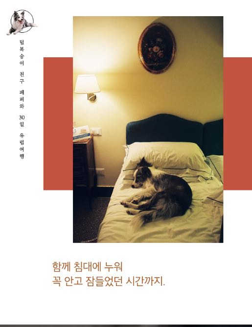 트립도기 리뷰 사진