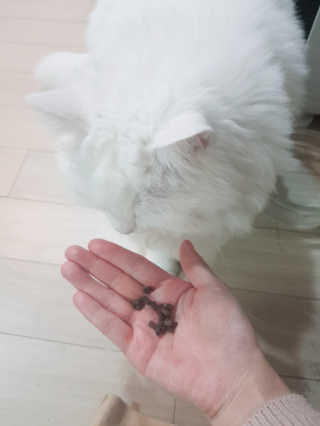달키님이 올린 리뷰 사진 2