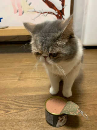 GunnKim님이 올린 리뷰 사진 1